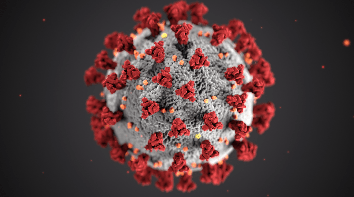 Respiratory Viruses (SARS-CoV-2)